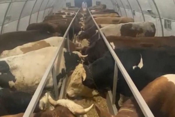 Kemah Taşımacılık & Gemi Onarımı - İstanbul