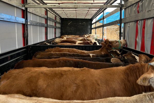 Kemah Taşımacılık & Gemi Onarımı - İstanbul